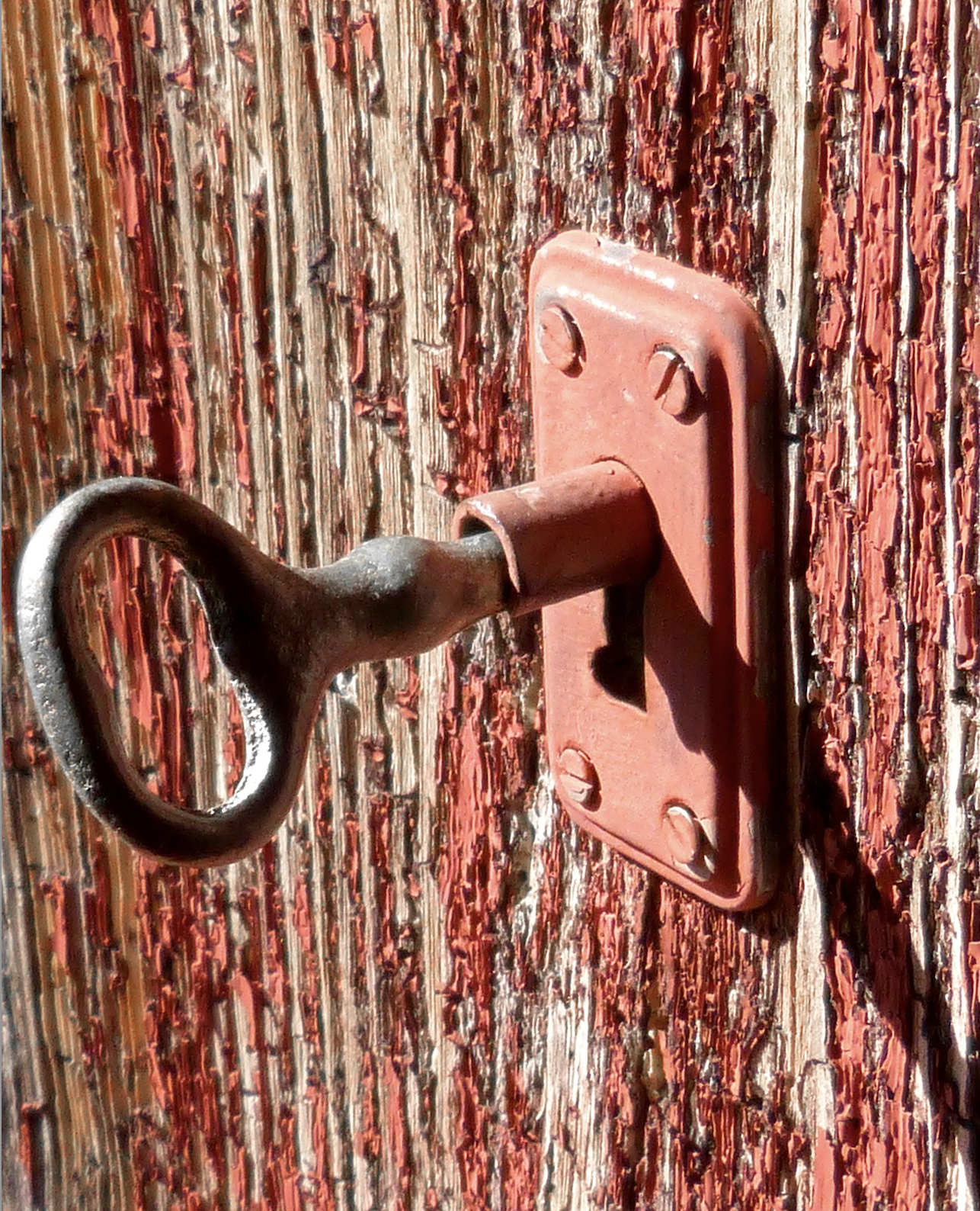 The Key to Weight Loss is the MicroRiche Diet