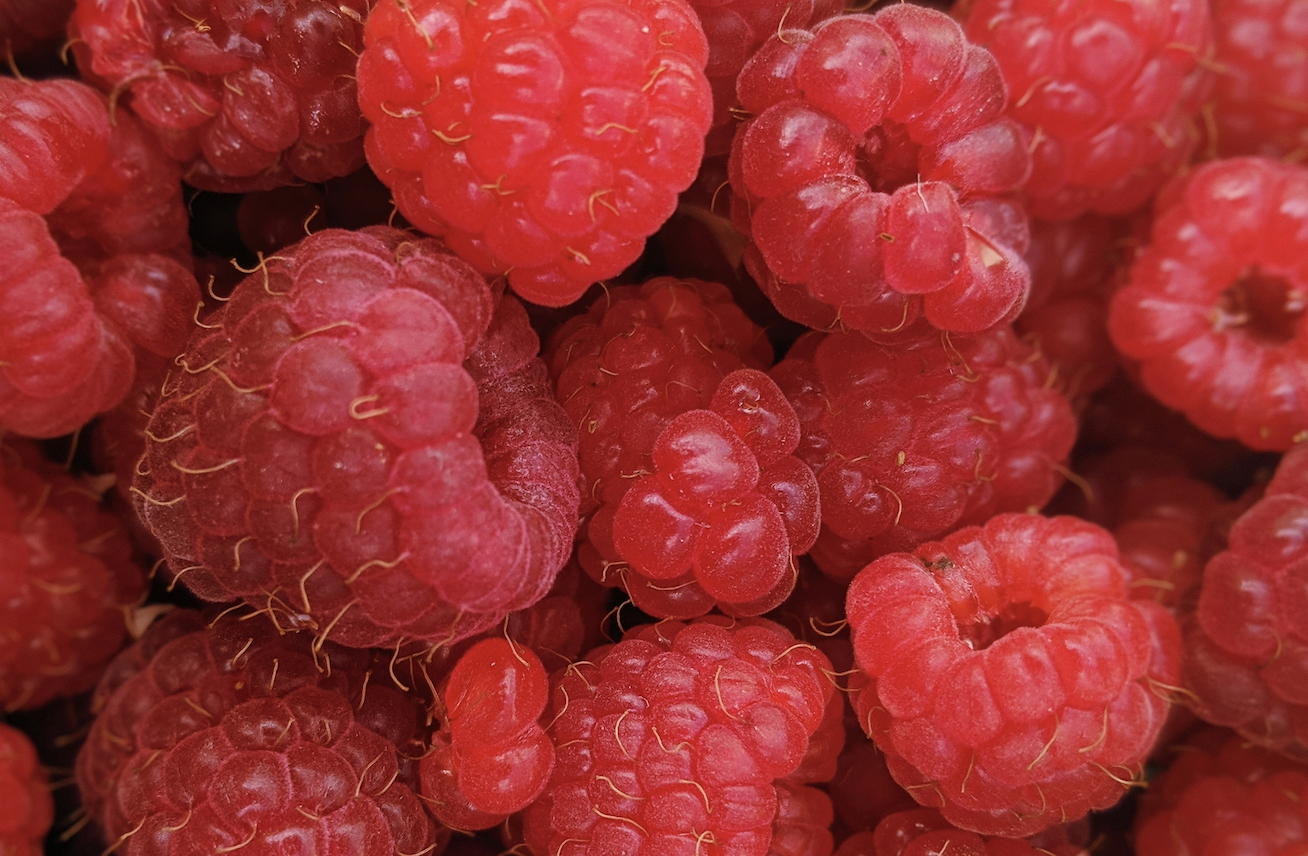 Antioxidants in berries prevent Cancer and inflammation